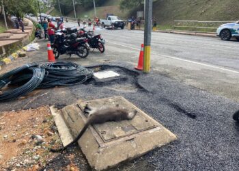 KERA yang dilanggar penunggang motosikal sehingga mangsa maut akibat berlanggar dengan Toyota Hilux di Kilometer Satu, Jalan Lipis-Kechau di Lipis, Pahang.