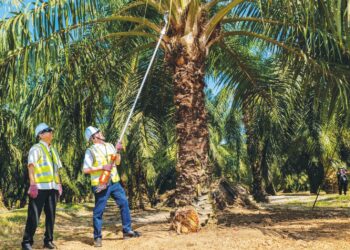 FADILLAH Yusof (kanan) mencuba peralatan moden bagi mencantas dan mengait buah kelapa sawit dalam lawatan di Pulau Carey, Selangor, baru-baru ini. –  FACEBOOK FADILLAH YUSOF