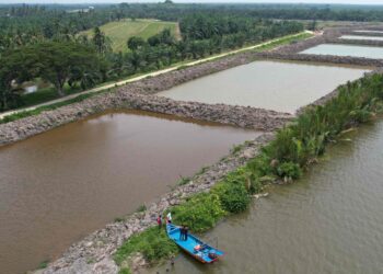 KOLAM udang yang dibina di tepi Sungai Kurau di Parit Buntar menimbulkan tanda tanya dalam kalangan nelayan yang bimbang kesannya terhadap hasil tangkapan mereka. - UTUSAN/WAT KAMAL ABAS