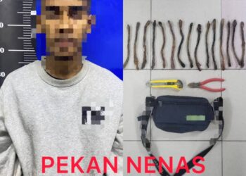 LELAKI yang diberkas kerana terlibat dengan perbuatan mencuri pendawaian elektrik dan kabel elektrik di Pontian.