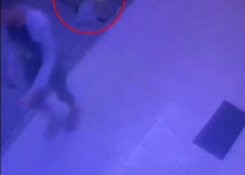 TANGKAP layar perbuatan seorang lelaki yang menghempas batu ke atas seekor kucing (dalam bulatan merah) sehingga haiwan itu mati di Taman Rakyat, Alor Setar.