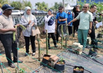 , Abdul Rahiman Alwi (kiri) menunjukan kepada Pengerusi Yayasan Perbandaran Kluang, Datuk Md Jais Sarday (kanan) sebahagian tanaman yang diusahakan melalui Projek Kolaborasi Kebun Komuniti Kejiranan Hijau Taman Makmur di Kluang.
