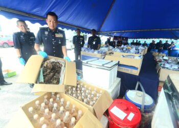 YAHAYA Othman menunjukkan sebahagian daun ketum dan pelbagai jenis dadah bernilai 4,483,088.84 yang dikumpul pihak Jabatan Siasatan Jenayah Narkotik (JSJN) Pahang untuk dilupuskan. --UTUSAN/SHAIKH AHMAD RAZIF