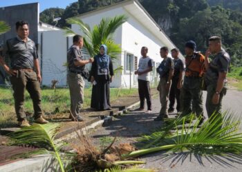 ANGGOTA Perhilitan (kiri) bersama penduduk melihat pokok kelapa yang dirosakkan gajah liar di kawasan Perumahan MGH di Bandar Gua Musang, Kelantan hari ini.UTUSAN/AIMUNI TUAN LAH.
