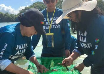 SHARIFAH Zakiah Syed Sahab (kanan) mengikat benih batu karang pada rak khas semasa Program Penanaman Batu Karang di Pulau Jemuruk, Langkawi.