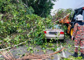 KENDERAAN mangsa yang dihempap pokok dalam kejadian ribut di Kampung Bukit Payong, Pokok Sena.