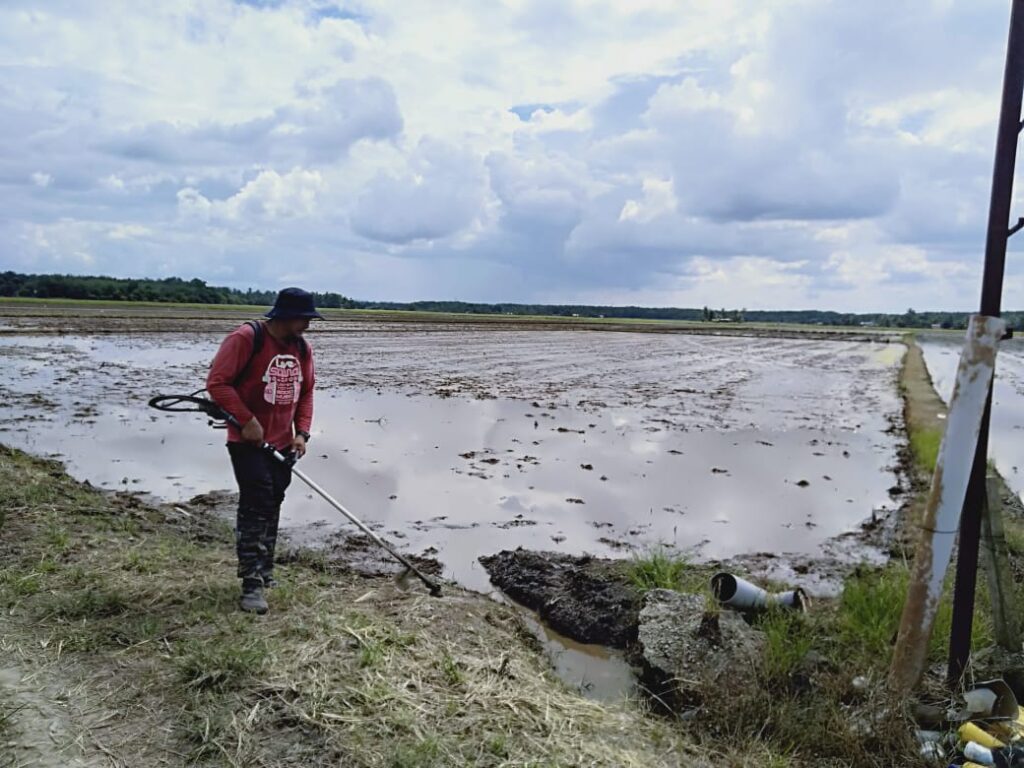Pesawah kecewa harga belian padi jatuh 3 aznan