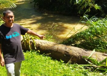 MANAN Ramli menunjukkan kayu balak yang hanyut dibawa arus deras banjir sebelum tersadai di tebing Sungai Chepir berhampiran rumahnya di Kampung Lubuk Tualang, Sik, Kedah -UTUSAN/NORLIA RAMLI