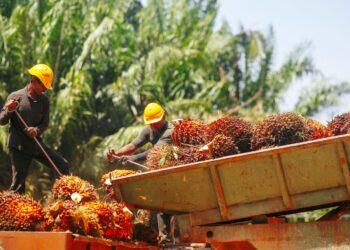 Pertubuhan Perdagangan Dunia (WTO) merumuskan Akta Delegasi EU yang menyekat biofuel minyak sawit bersifat diskriminasi.