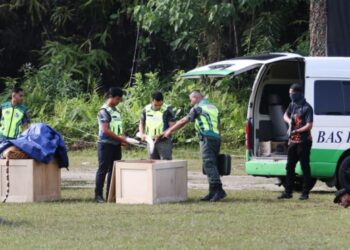 LAKON semula adegan penyeludupan Harimau Malaya dan gading gajah pada Majlis Perasmian WCB/PSK KDNKA Bukit Aman di Pusat Latihan Pasukan Gerakan Am (PLPGA) Ulu Kinta, Ipoh. - UTUSAN