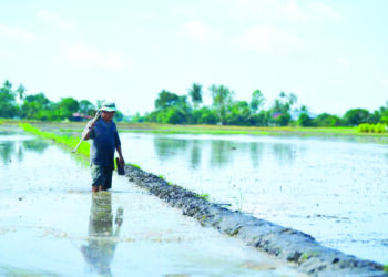 PESAWAH berharap mereka akan diberikan tumpuan khusus dalam Belanjawan 2024 berikutan pelbagai masalah yang mereka hadapi dan juga masalah bekalan dan keterjaminan makanan yang dihadapi negara. - UTUSAN/IZLIZAN OTHMAN