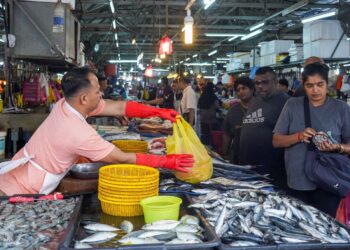 WALAUPUN kawalan harga mungkin menarik sebagai penyelesaian jangka pendek, ia bukanlah strategi yang mampan untuk jangka panjang. – UTUSAN/AMIR KHALID