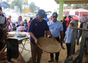 RAMLAN Harun menampi beras yang ditumbuk menggunakan lesung kaki di Kampung Gintong di Jerantut, Pahang. - FOTO/SALEHUDIN MAT RASAD