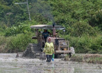 HASIL penyelidikan gagal untuk sampai ke petani disebabkan faktor kekurangan dana dan peruntukan.