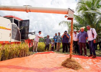 MOHAMAD Sabu (dua kanan) melihat hasil tuaian padi selepas merasmikan  Program Santai Agro Madani: Penuaian SMARTSBB Ala Sekinchan IADA Ketara-Bernas 2023 di Kampung Gerai, Jerteh, Besut, hari ini. - UTUSAN/KAMALIZA KAMARUDDIN