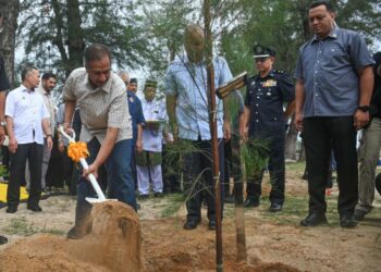 SULTAN Mizan Zainal Abidin (kiri) berkenan menanam anak pokok Rhu Pantai pada Majlis Perasmian Penanaman Pokok Sepanjang Pantai Batu Buruk ke Pantai Pandak di Dataran Pantai Batu Buruk, Kuala Terengganu, hari ini. - UTUSAN/PUQTRA HAIRRY ROSLI