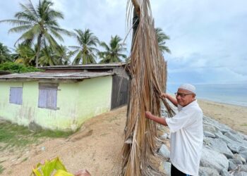 HASSAN Abdul Rahman menunjukkan susunan pelepah daun kelapa sebagai penghadang angin di belakang rumahnya di Pantai Damak, Bachok, Kelantan, semalam UTUSAN/TOREK SULONG