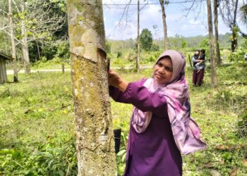 Usaha untuk memperjuangkan kestabilan harga getah dan meningkatkan kesejahteraan pekebun telah menjadi fokus utama dalam industri getah Malaysia.