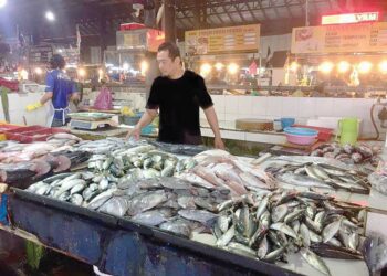 ABDUL Rahman Ali menyusun ikan segar yang dijual sambil menunggu pelanggan di Pasar Cabang Tiga, Kuala Terengganu, hari ini. -UTUSAN/TENGKU DANISH BAHRI TENGKU YUSOFF
