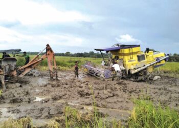 JENGKAUT terpaksa digunakan untuk menarik jentera menuai padi selepas tersangkut di dalam tanah jerlus sekali gus menganggu kerja-kerja menuai di Kampung Kajang Sebidang, Tumpat, Kelantan-UTUSAN/ROHANA ISMAIL.