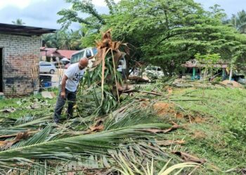 AMRAN Ghazali melihat pokok kelapa sawit yang dimusnahkan gajah bersebelahan rumah dan kedai mencuci kenderaan miliknya di Kampung Padang Lalang, Felda Neram 1, Kemaman, Terengganu. - UTUSAN/NIK NUR IZZATUL HAZWANI NIK ADNAN