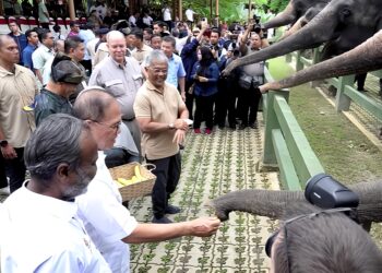 AL-SULTAN Abdullah Ri'ayatuddin Al-Mustafa Billah Shah (tengah) melihat Menteri Besar, Datuk Seri Wan Rosdy Wan Ismail (dua dari kiri) memberi makan gajah di Pusat Konservasi Gajah Kuala Gandah, Lanchang di Temerloh, Pahang. - FOTO/SALEHUDIN MAT RASAD