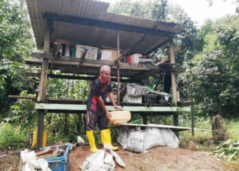 JOHARI Chik mengalihkan barangan keperluan bersawah ke tempat lebih tinggi sebagai persediaan awal menghadapi banjir di Kampung Tok Lawit, Hulu Terengganu, semalam. - UTUSAN/NOOR HAYATI MAMAT