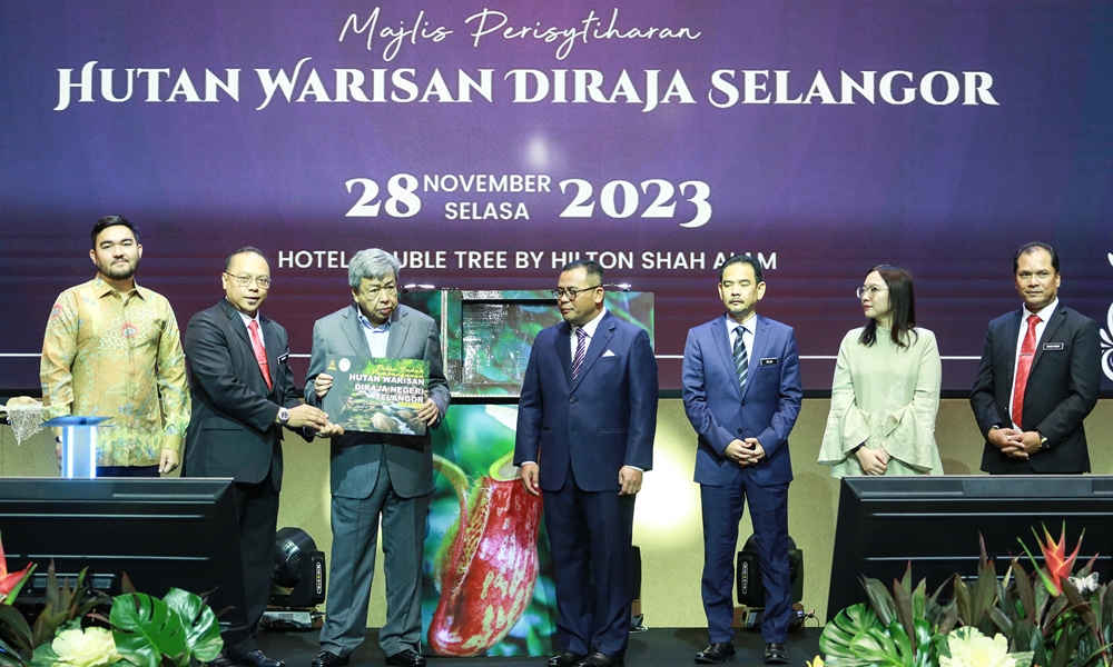 Hutan simpan