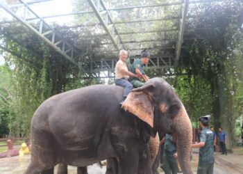 AL-SULTAN Abdullah Ri'ayatuddin Al-Mustafa Billah Shah berkenan menunggang gajah Myaiton Pian sempena lawatan Seri Paduka dan Putera Albert II di PKGK Kuala Gandah, Lanchang di Temerloh, Pahang. - FOTO/SALEHUDIN MAT RASAD
