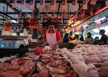 PENIAGA ayam daging, Azmi Ahmad memotong ayam yang dijual di Pasar Moden Seksyen 6 Shah Alam, Selangor semalam. Rata-rata peniaga di pasar itu menjual ayam pada harga rendah iaitu RM8.40 hingga RM8.60 sekilogram berbanding harga siling RM9.40 sekilogram walaupun kerajaan menamatkan subsidi serta harga kawalan bahan mentah itu. 