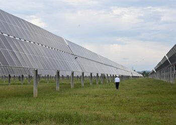 Ladang solar di Jalan Felda Rantau Abang 1 di Marang, Terengganu yang merupakan ladang solar terbesar Malaysia. – Mingguan/PUQTRA HAIRRY