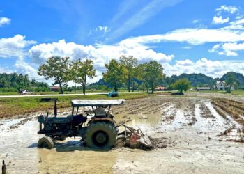 Petani dakwa pembekal benih padi jual lebih tinggi daripada harga disaran kerajaan.