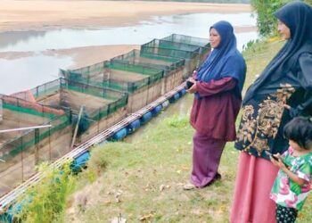 ROSMAWATI Sulaiman (kiri) dalam proses memulakan kembali perusahaan ikan patin sangkar miliknya yang sebelum ini terhenti berikutan air sungai kering.