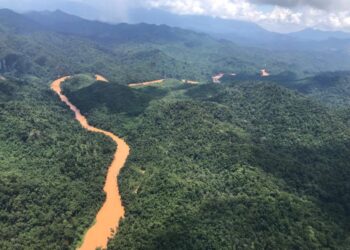 KONFLIK manusia dan hidupan liar akan terus berlaku jika hutan terus diusik oleh tangan-tangan nakal. – UTUSAN/AIMUNI TUAN LAH