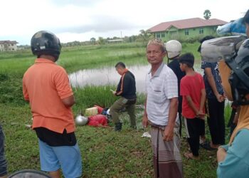 SEORANG warga emas ditemukan mati selepas terjatuh ke dalam sawah padi bersama motosikalnya di Kampung Pauh Sebanjar, Tumpat, Kelantan.