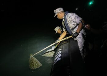 ANGGOTA Maritim Malaysia menangkat bungkusan plastik berisi daun ganja segar yang cuba diseludup masuk pada kedudukan 1.9 batu nautika timur laut Tanjung Kemarung, Langkawi.