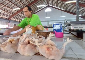 PENGELUARAN daging ayam di Melaka mencecah 96,000 metrik tan setahun yang bernilai RM768 juta membabitkan SSR 282.17 peratus. - GAMBAR HIASAN