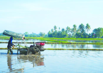 Sistem pengaliran sawah yang cekap dapat mengelak pelbagai masalah dalam penanaman padi.