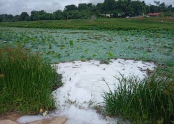 SISA buangan dipercayai bahan kimia kelihatan berbuih dan berwarna putih di permukaan Taman Rekreasi Tasik Teratai, bandar Jerantut di Jerantut, Pahang. - FOTO/HARIS FADILAH AHMAD