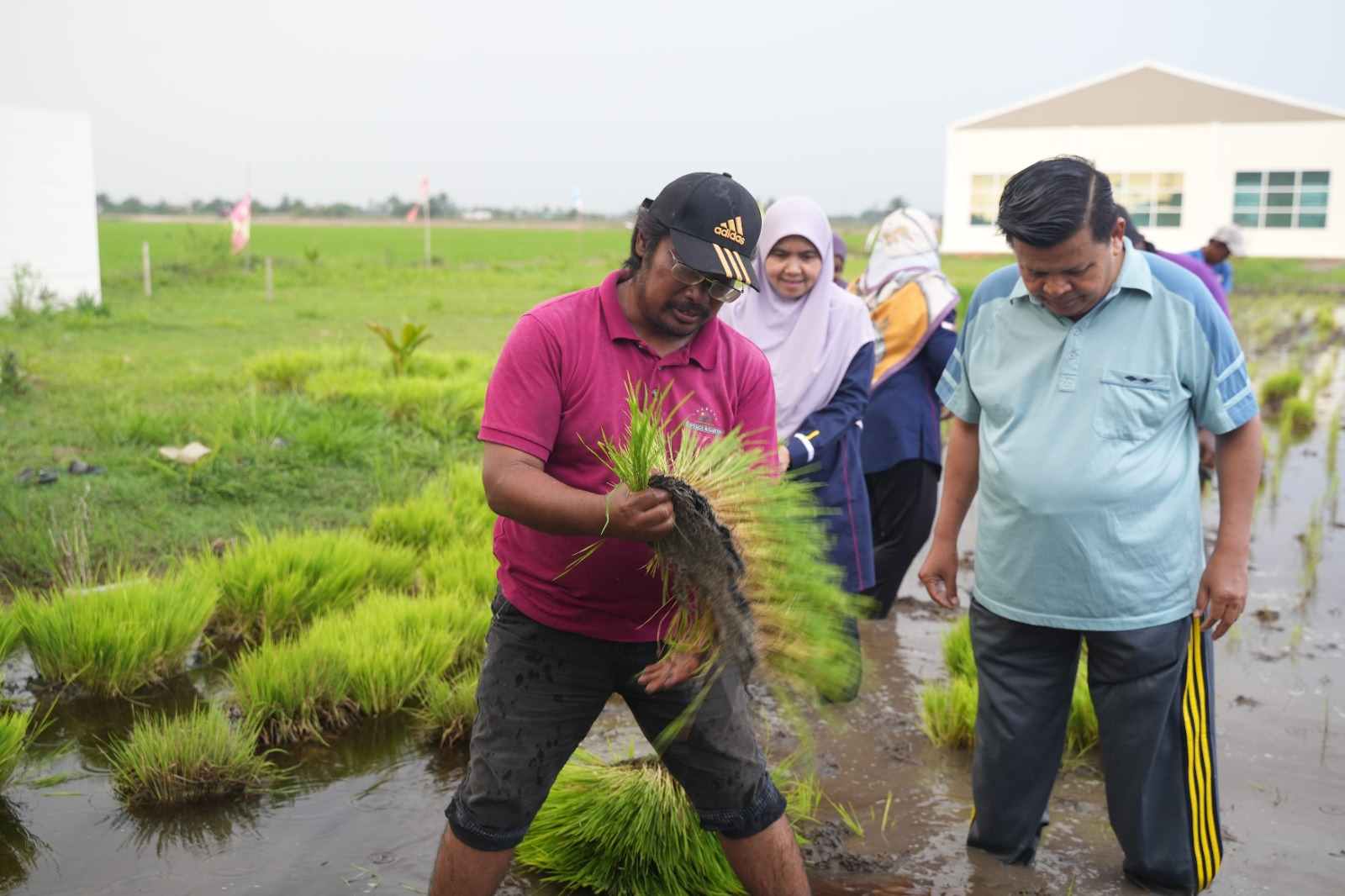 uitm living lab