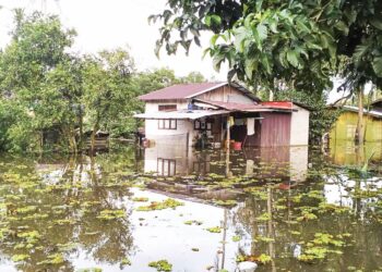 KEADAAN sebuah rumah penduduk yang dinaiki air banjir yang dipenuhi pokok kiambang di Kampung Padang Licin, Rantau Panjang, Kelantan baru-baru ini.-UTUSAN/ROHANA ISMAIL.