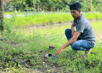 CHE Muhammad Che Natt, 34, menunjukkan selipar mangsa yang ditemui di lokasi kejadian di Kampung Permatang Kerisek, Simpang Empat, Kangar, Perlis. -UTUSAN/ASYRAF MUHAMMAD