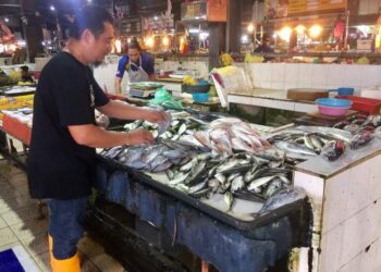 ABDUL Rahman Ali menunjukkan sebahagian ikan yang dijual di Pasar Cabang Tiga, Kuala Terengganu, hari ini. - UTUSAN/TENGKU DANISH BAHRI TENGKU YUSOFF