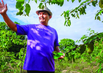 AMRAN Haron memeriksa pokok yang ditanam oleh Komuniti Ayer Pasir di Empangan Durian Tunggal, Alor Gajah, Melaka. - UTUSAN/SYAFEEQ AHMAD