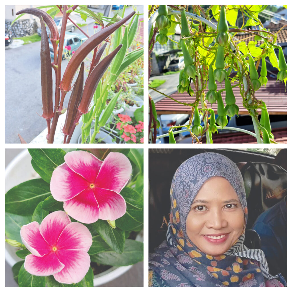 berkebun-atas-bumbung