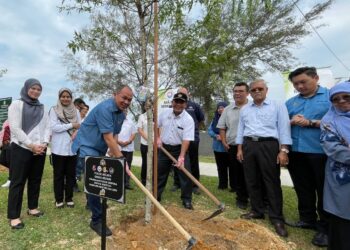 AZHAR Arshad (kanan) dan Shadan Othman menanam pokok Melaka di Robina Eco Park, Butterworth, Pulau Pinang, hari ini. - Pix: SITI NUR MAS ERAH AMRAN