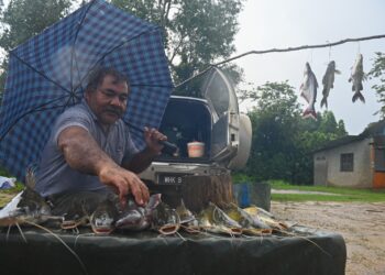 MOHD. Zulkairi Abdul Rahman menjual ikan baung di gerainya di Kampung Che Lijah, Dungun, hari ini. - UTUSAN/PUQTRA HAIRRY ROSLI