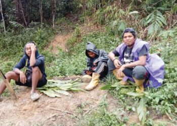 PENDUDUK Orang Asli terpaksa mendaki bukit bagi mendapatkan capaian internet di Pos Balar, Gua Musang, Kelantan. - IHSAN ORANG ASLI