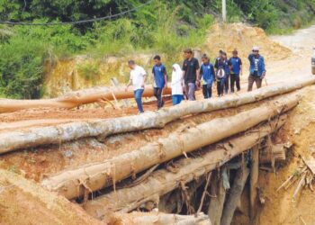 PENDUDUK dan pelajar sekolah Orang Asli bergadai nyawa hampir setiap hari dengan melalui tiga jambatan kayu balak yang uzur di RPS Kuala Betis, Gua Musang. - UTUSAN/AIMUNI TUAN LAH