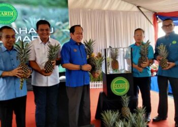 AHMAD Maslan (tiga  kiri ) memegang buah nanas varieti MS16 selepas pelancarannya di Stesen Penyelidikan MARDI Pontian, di Pontian, Johor hari ini. Turut kelihatan Mohamad Zabawi (kanan) KOSMO/UTUSAN/ MUHAMMAD ZIKRI